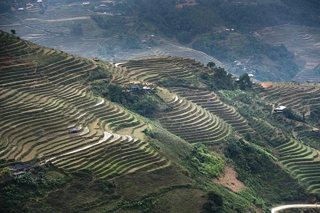 Kertas dinding padang teres yang cantik untuk komputer