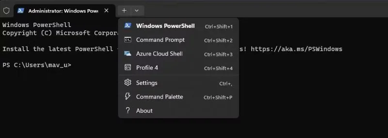 Windows 10/11'de WSL 2'yi kullanmaya yönelik en iyi 5 uygulama