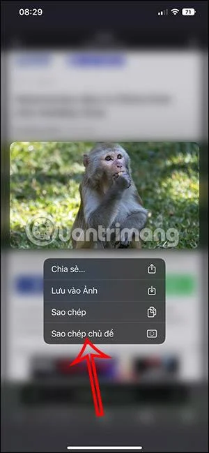 Arahan untuk mengalih keluar latar belakang banyak foto pada iPhone