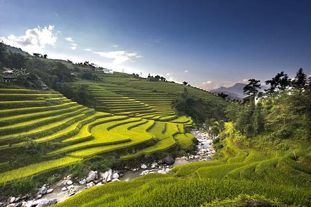 Kertas dinding padang teres yang cantik untuk komputer