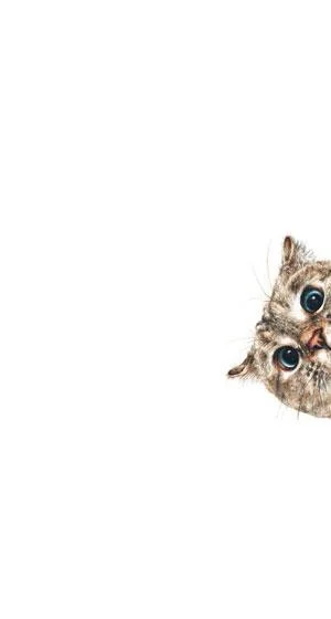 Koleksi 70 kertas dinding kucing comel untuk telefon anda