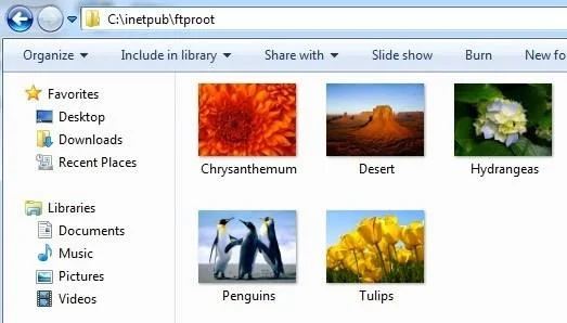 Windows'ta FTP Sunucusunu kurmak için IIS'yi kullanma
