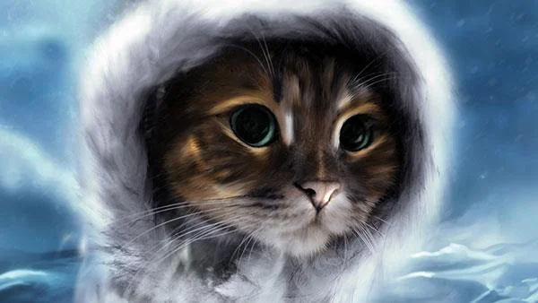 Kertas dinding kucing yang paling comel dan comel
