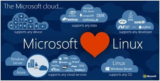 SQL Server 2017 pada Linux membantu meningkatkan produktiviti untuk syarikat