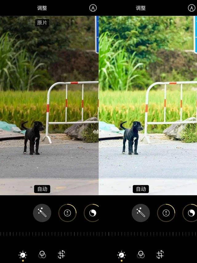 Formula penyuntingan foto yang hebat pada iPhone