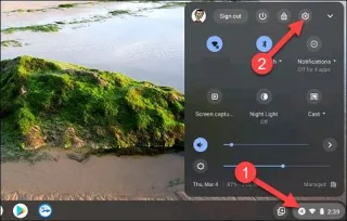 Chromebookta sesli olarak metin nasıl girilir?