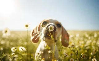Laden Sie jetzt ein neues Theme-Set mit vielen Themes speziell für Windows 10 herunter