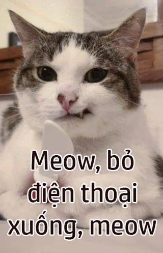 Dia meletakkan telefon saya, dia meletakkan telefon saya