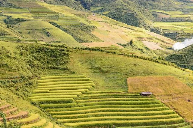 Kertas dinding padang teres yang cantik untuk komputer