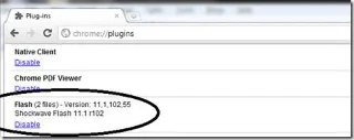 เบราว์เซอร์ Chrome บนคอมพิวเตอร์ Windows ขัดข้อง นี่คือสิ่งที่คุณต้องทำ