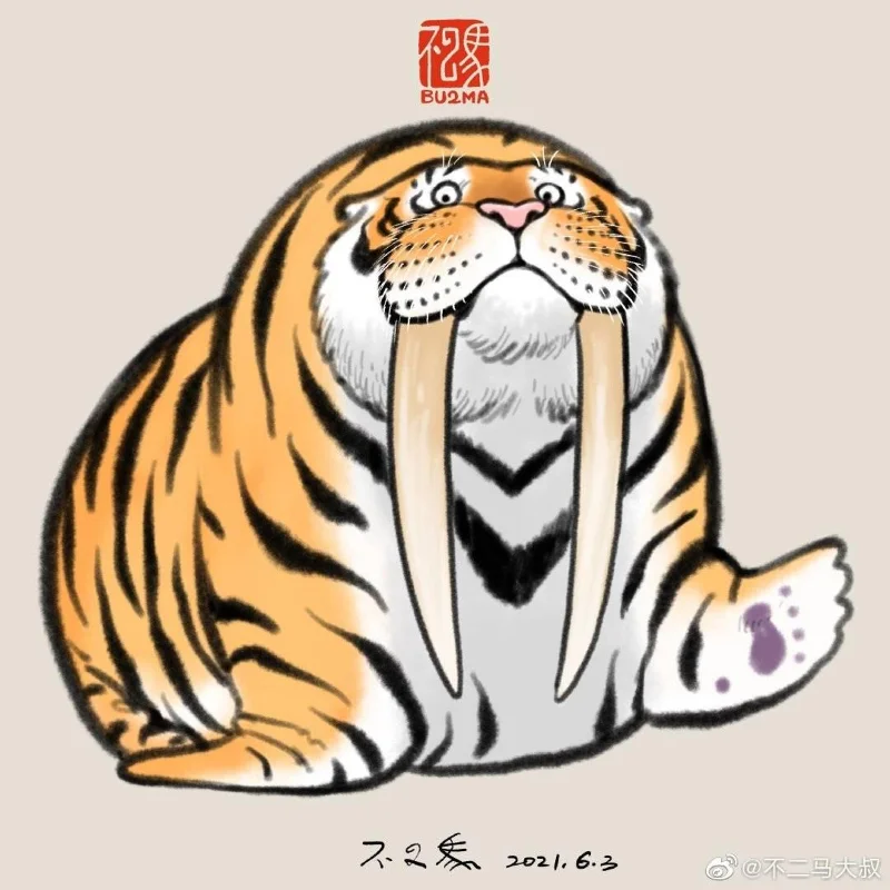 Sfondi di tigre grassa, foto carine di tigre grassa