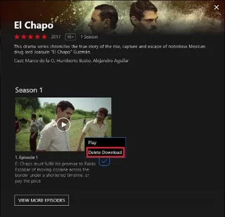 Arahan untuk memuat turun filem daripada Netflix dalam Windows 10