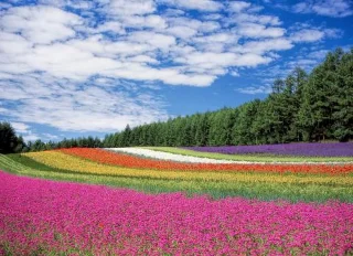 45 hermosos fondos de pantalla de paisajes de alta resolución