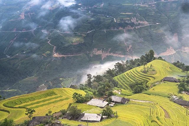 Kertas dinding padang teres yang cantik untuk komputer