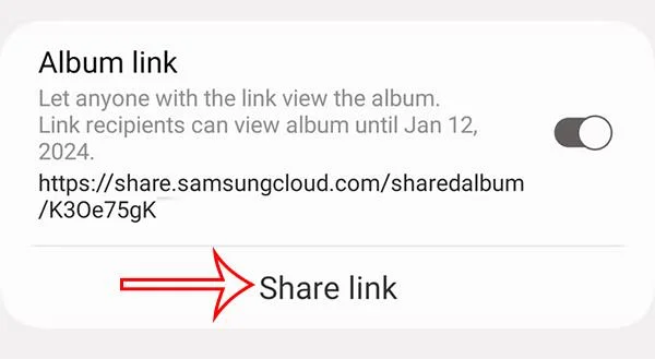 Link per condividere l'album