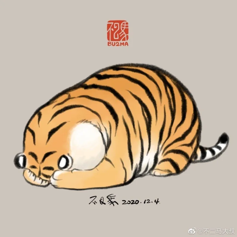 Sfondi di tigre grassa, foto carine di tigre grassa
