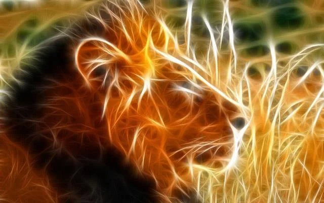 Koleksi kertas dinding Leo dan Singa Laut yang sangat cantik untuk komputer