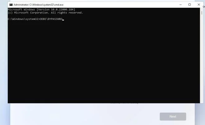İnternet olmadan Windows 11 nasıl kurulur, Microsoft hesabı olmadan Windows 11 nasıl yüklenir