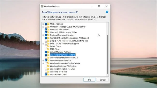 Google Play Store'u Windows 11'e nasıl yükleyebilirim?
