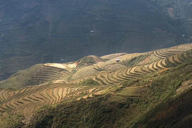 Kertas dinding padang teres yang cantik untuk komputer