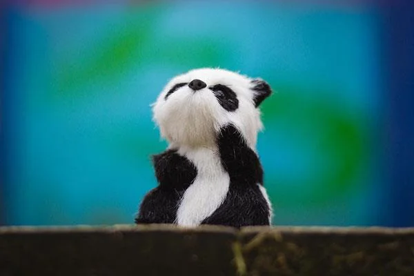 Set kertas dinding panda yang paling comel untuk komputer