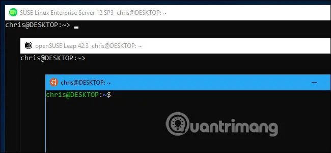 Semua yang anda boleh lakukan dengan Bash Shell baharu Windows 10