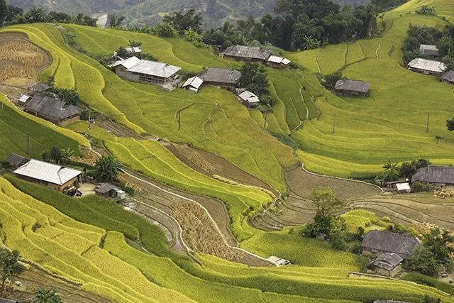 Kertas dinding padang teres yang cantik untuk komputer