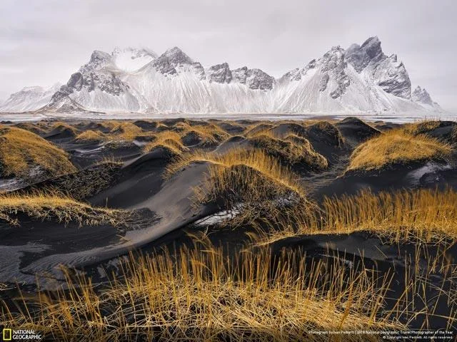 Muat turun sekarang set kertas dinding unik tentang adegan kehidupan yang disediakan oleh saluran TV National Geographic