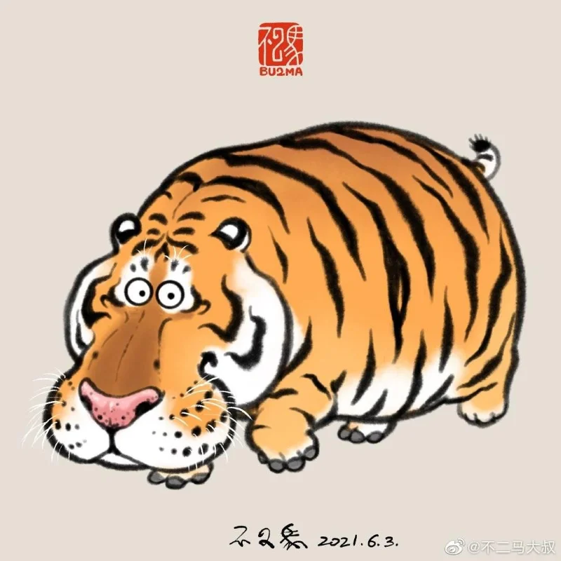 Sfondi di tigre grassa, foto carine di tigre grassa