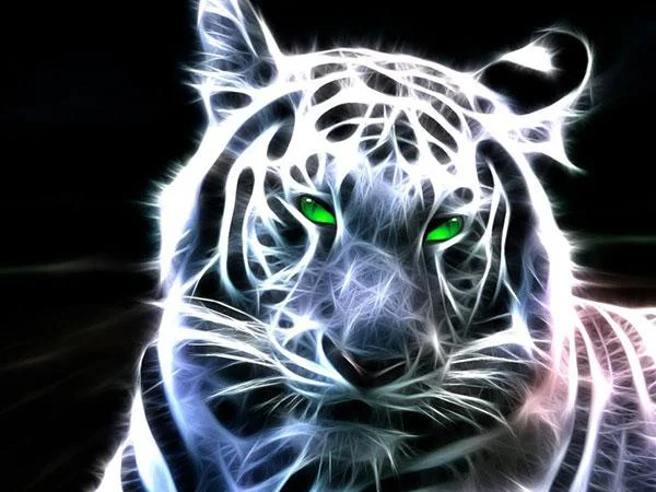 Kertas dinding harimau yang sangat cantik untuk komputer, kertas dinding harimau untuk komputer riba