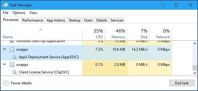 Quelques éléments sur Wsappx sous Windows