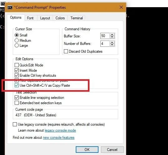 CMD でコピー ペースト コマンドを有効にする最速の方法