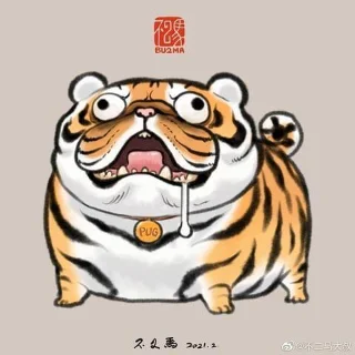 Sfondi di tigre grassa, foto carine di tigre grassa