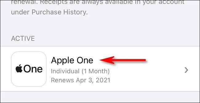 Apakah perkhidmatan Apple One?