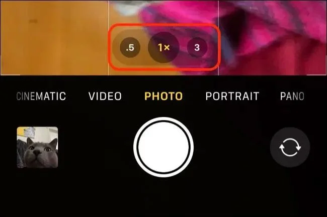 iPhoneでマクロ撮影を行う際の注意点