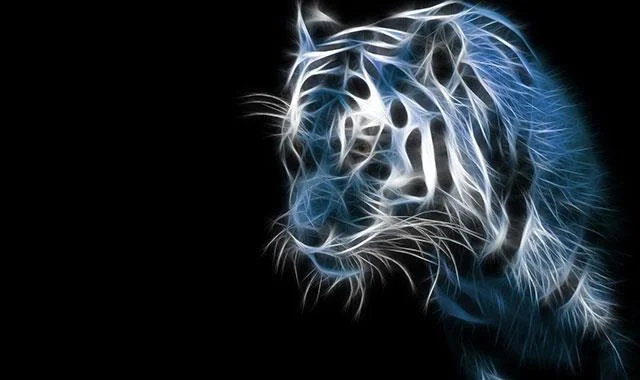 Kertas dinding harimau yang sangat cantik untuk komputer, kertas dinding harimau untuk komputer riba