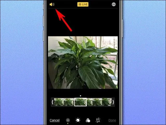 iPhoneでLive Photosから音声を分離する方法