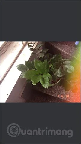 Cómo utilizar KD Pro para tomar fotografías antiguas