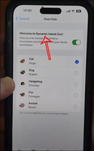 Bagaimana untuk membawa zoo ke iPhone 14 Pro