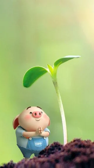 Koleksi kertas dinding babi comel untuk telefon dan komputer