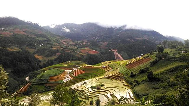 Kertas dinding padang teres yang cantik untuk komputer
