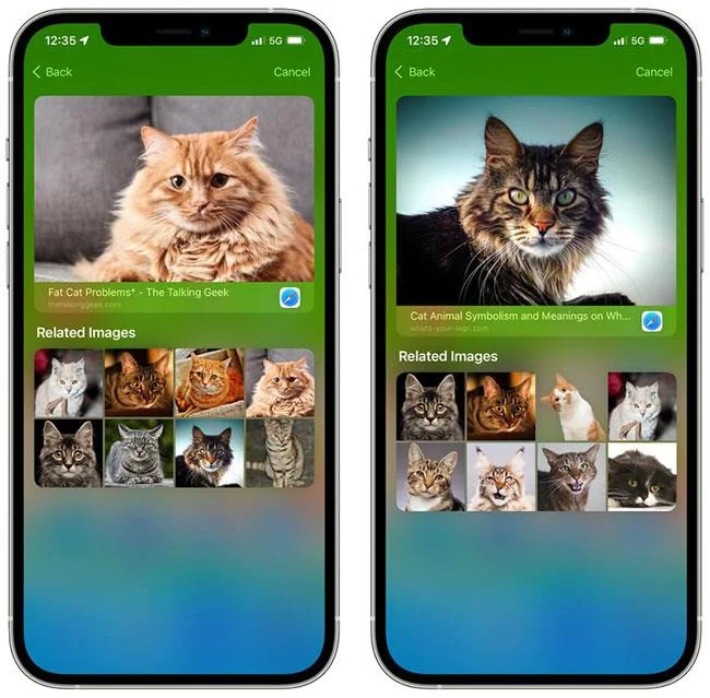 Penambahbaikan baharu pada Spotlight pada iOS 15