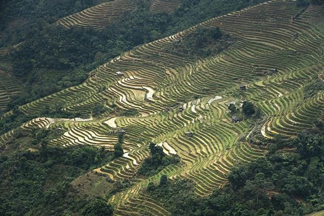 Kertas dinding padang teres yang cantik untuk komputer