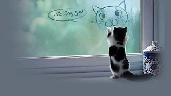 Kertas dinding kucing yang paling comel dan comel