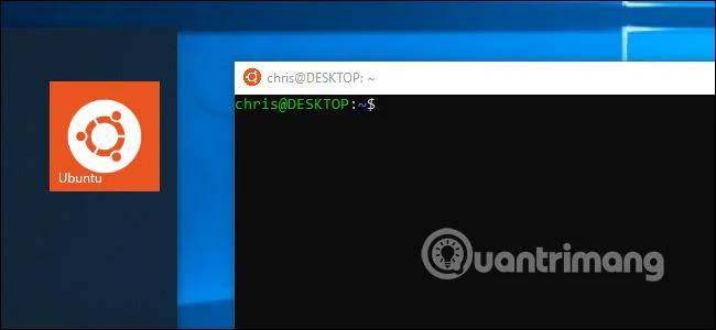 Semua yang anda boleh lakukan dengan Bash Shell baharu Windows 10