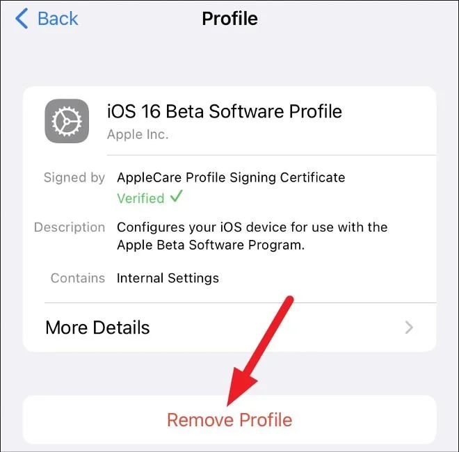 Comment rétrograder d'iOS 16 Beta 1 vers iOS 15