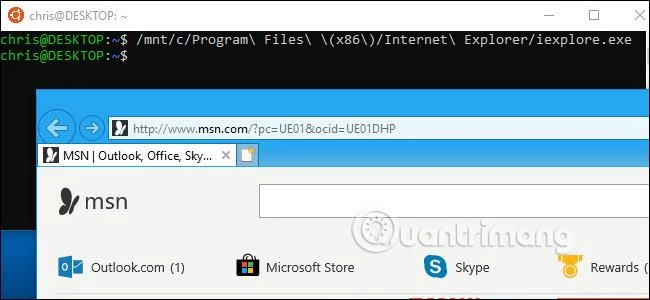 Semua yang anda boleh lakukan dengan Bash Shell baharu Windows 10