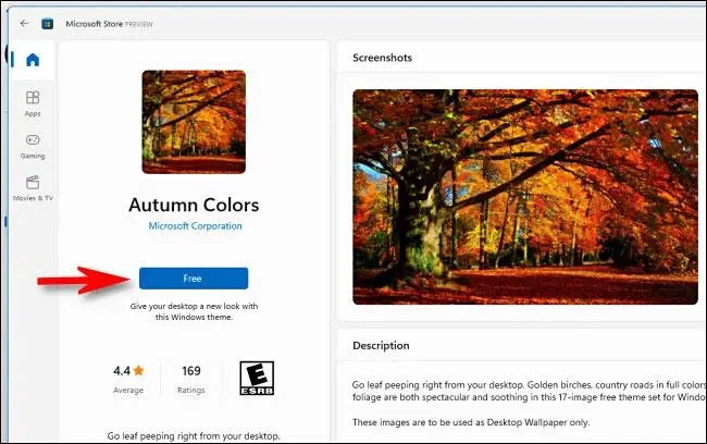 Windows 11'de tema nasıl değiştirilir?