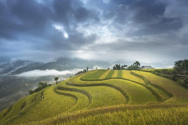 Kertas dinding padang teres yang cantik untuk komputer