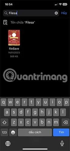 Bagaimana untuk mencari fail yang dimuat turun pada iPhone/iPad
